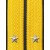 Лейтенант